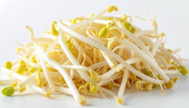 Fresh Bean Sprouts Isolated on White Background