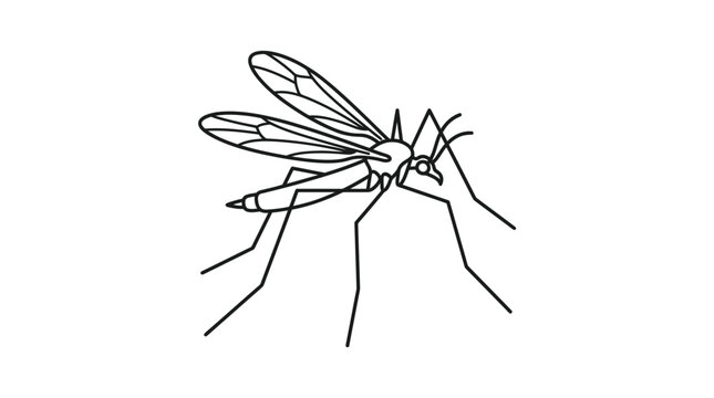 Crane fly or mosquito side view line art.
