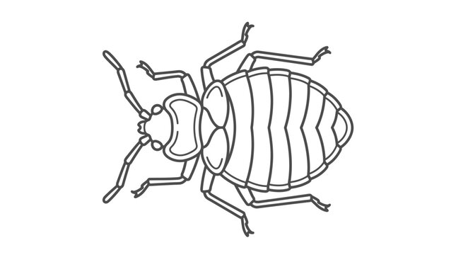Detailed bed bug outline for educational use.