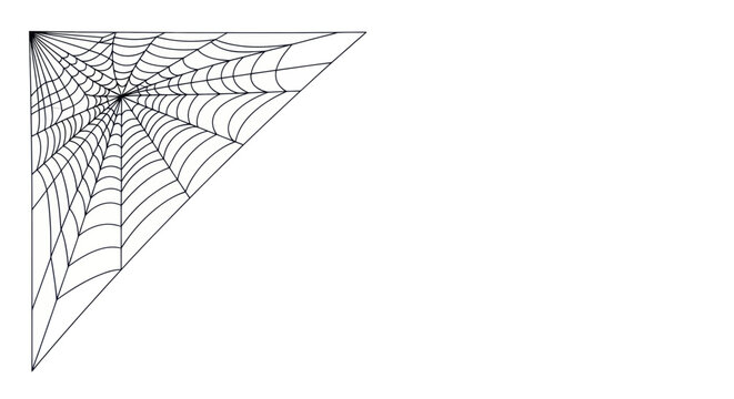 Spider web close up detail.