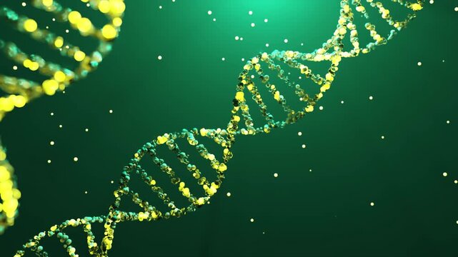 DNA