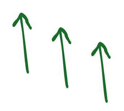 Arrow marks in green marker style for tutorial annotation and notes.