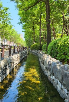 Beautiful artificial stream with stone walls and green trees along a walking path