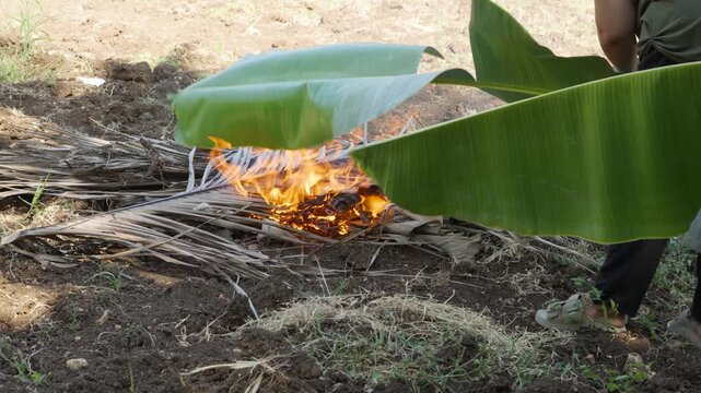 Filipino Heating Banana Leaves for Wrapping Cassava Suman in Cebu Province Philippines