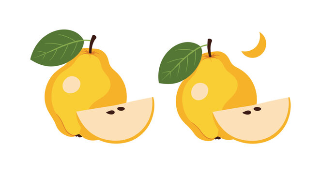 Two yellow quinces with one cut slice showing seeds and green leaves on a plain white background for fruit and healthy food concepts.