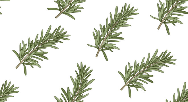 Seamless botanical pattern of fresh green rosemary branches and leaves on a white background for herbal and kitchen interior design themes.