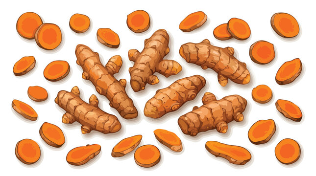 Turmeric root vector illustration, fresh orange curcuma slices and whole ginger rhizomes, organic herbal spice for healthy cooking and wellness