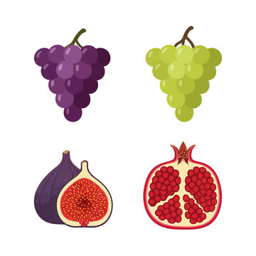 Purple and green grapes figs and sliced pomegranate frutas vector