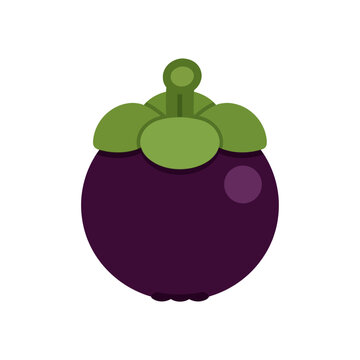 Mangosteen frutas vector with fresh green leaf crown