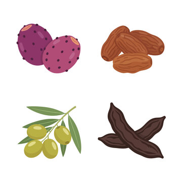 Assorted mediterranean frutas vector with prickly pear and carob