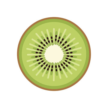 Kiwi slice with green flesh and seeds frutas vector