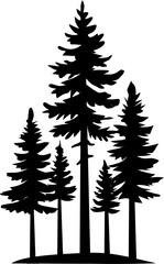 Obraz premium Evergreen Forest Silhouette: Coniferous Trees