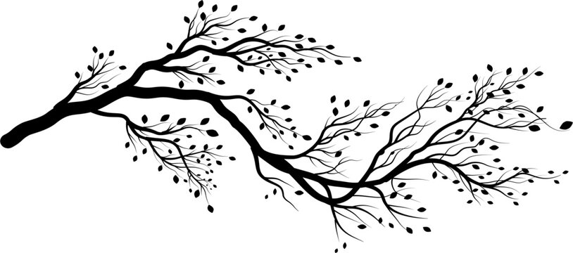 Silhouetted Branch with Small Leaves, Black and White