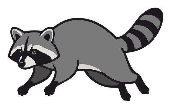 Raccoon jumping in mid-air perspective vector illust.... Generative AI