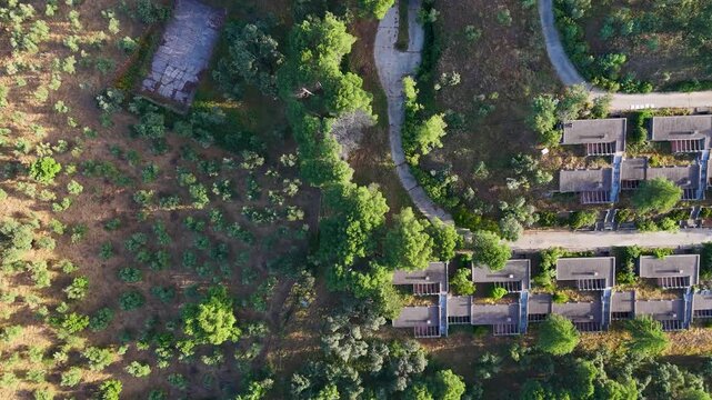 Aerial view of modern rural buildings nestled among lush green trees and olive groves in Cazalla de la Sierra, Andalusia, Spain.
