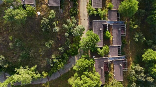 Aerial view of modern residential buildings with flat roofs surrounded by dense green trees and a winding path in Cazalla de la Sierra, Andalusia, Spain.