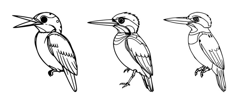 Robotics kingfisher set with simple line art design featuring outline, illustration, graphic elements with clean design and vector art