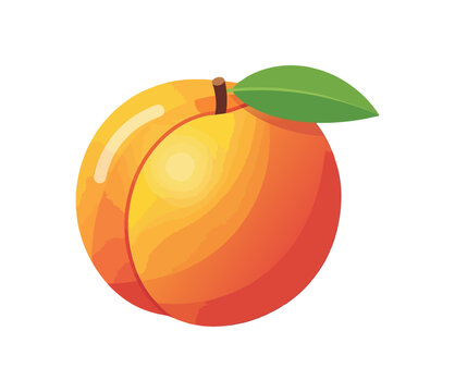 Vibrant Ripe Peach with Green Leaf and Stem.