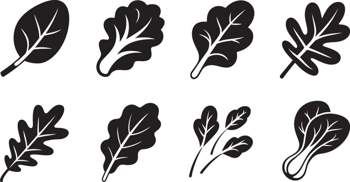 Fresh, leafy green salad icon collection featuring lettuce leaves and organic vegetables in minimalist vector style suitable for healthy eating apps, restaurant menus, and nutrition themed graphics.