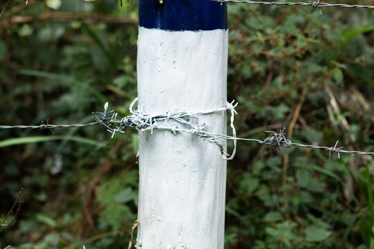 Photo showing a wooden post treated with the colors blue and white with barbed wire around it, these posts with these colors are an indication that in that area there is a natural reserve and a site r