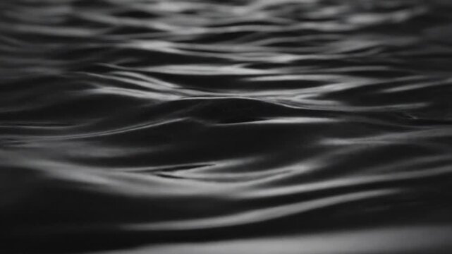 Water surface ripples create a dark and moody monochromatic pattern across the liquid field.