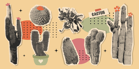 Cactus sticker halftone collage cutout set with desert plants, succulents, flowers and abstract shapes. Vintage style for scrapbook, stickers and boho decor. Vector illustration © Dukhanina Ekaterina