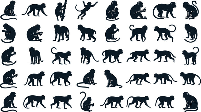 Monkey Silhouette Icon Set with Various Poses and Actions for Wildlife, Nature, and Digital Graphic Designs
