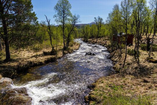 Landschaft auf der Flatruet, Schweden