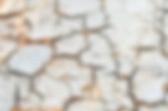 blur background or tree bark or bark , Golden shower or Golden shower tree or Indian laburnum or Pudding pine tree or Cassia fistula or old tree