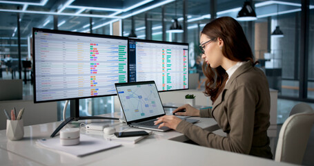Woman Analyst Using Laptop And Charts