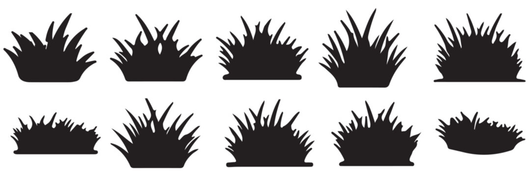 Detailed Black Silhouette of a Lush Grass Bush with Seed Heads