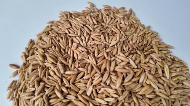 Macro close up camera zoom in movement directly into a dense texture layer of whole raw unpeeled oat grains, revealing fine structural details of the agricultural harvest.