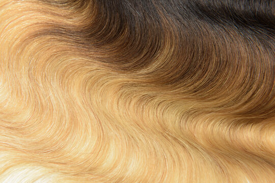 Body wavy black to blonde ombre human hair weaves extensions bundle