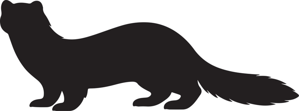 Black silhouette of a standing stoat or weasel isolated on white background