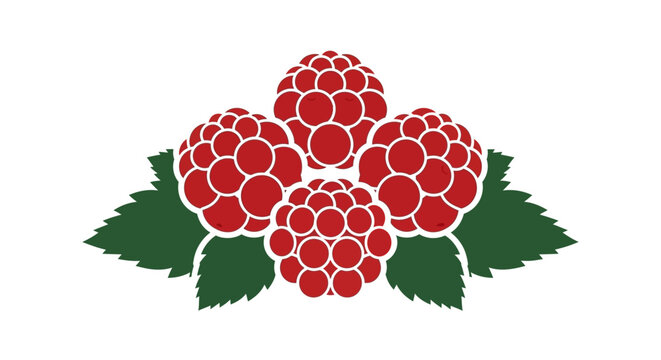 Cluster of red raspberries with green leaves vector illustration