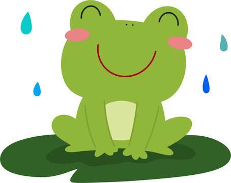 frog on a leaf