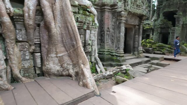 Massive tree roots engulf ancient stone structures at Ta Prohm temple in Siem Reap, Cambodia. This iconic jungle temple is famous for its atmospheric setting.