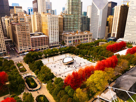  Aerial Drone View of Millennium Park Cloud Gate Bean Sculpture Surrounded by Vibrant Autumn Fall Foliage with Chicago Loop Skyline in Background, Illinois, USA&rdquo;
