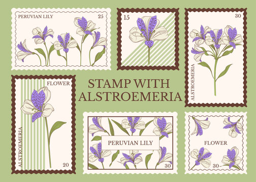 Peruvian lily postage stamp collection. Vintage botanical stamp set with alstroemeria flowers, floral philately design and retro engraving illustration