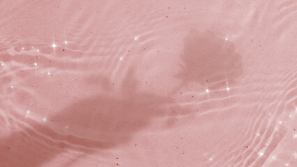 Fototapeta premium Pink pool water desktop wallpaper, rose flower shadow
