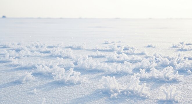 Delicate frost patterns forming on a winter landscape