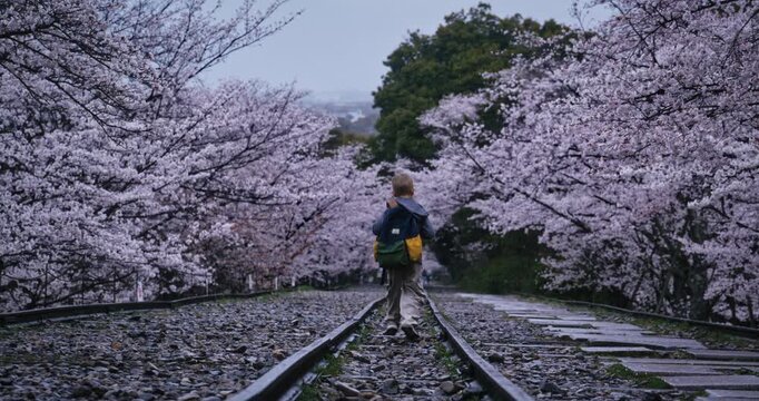Young boy running and skipping across old tracks near beautiful cherry blossom trees - wide, low shot