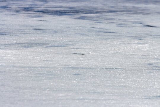 Quebec, Canada, 27 April 2026 : Close-up view of a frozen surface showing textured ice and snow under sunlight.