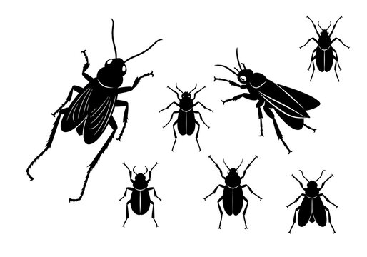 Black Cricket Silhouettes on White Background