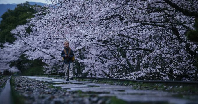 Happy little boy with backpack walking on stone step path with surrounding cherry blossom trees - low, wide shot