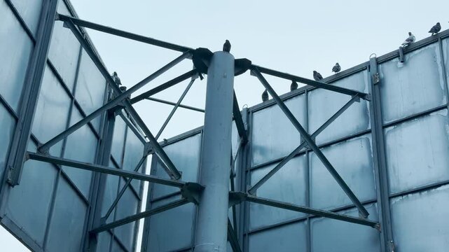 Several pigeons perch on the metal beams and panels of a multi-sided sign structure. The angular steel support system rises high against a dim, overcast sky.