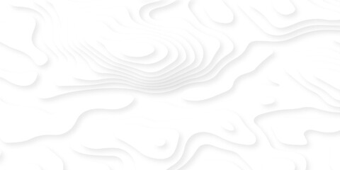 Abstract white paper cut background with lines. Background of the topographic map. White wave paper curved reliefs abstract background. Realistic papercut decoration textured with wavy layers. © armans