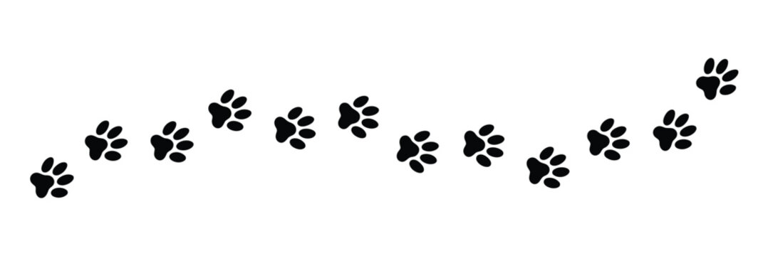 Paw footprint of dog or cat. vector illustration.