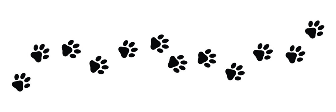 Paw footprint of dog or cat. vector illustration.