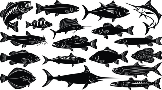 Fish silhouette vector collection with diverse freshwater and saltwater species including catfish, marlin, tuna, bass, and flounder
